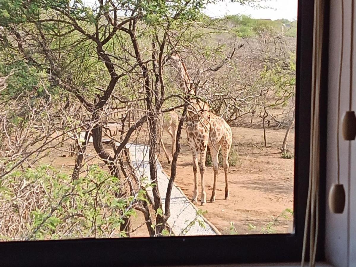 Ferienwohnung Marloth Kruger View Marloth Park Exterior foto