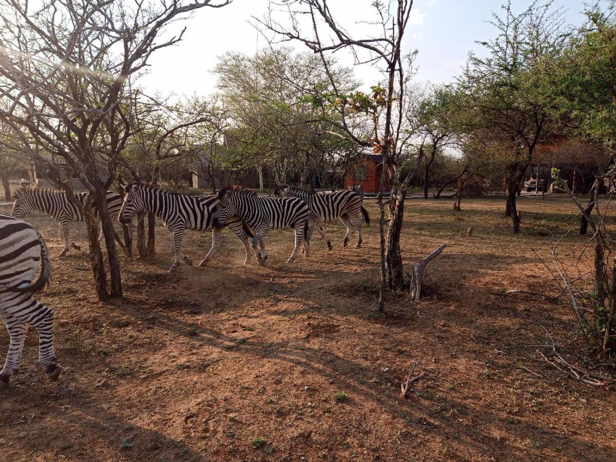Ferienwohnung Marloth Kruger View Marloth Park Exterior foto