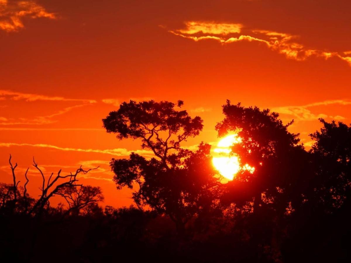 Ferienwohnung Marloth Kruger View Marloth Park Exterior foto