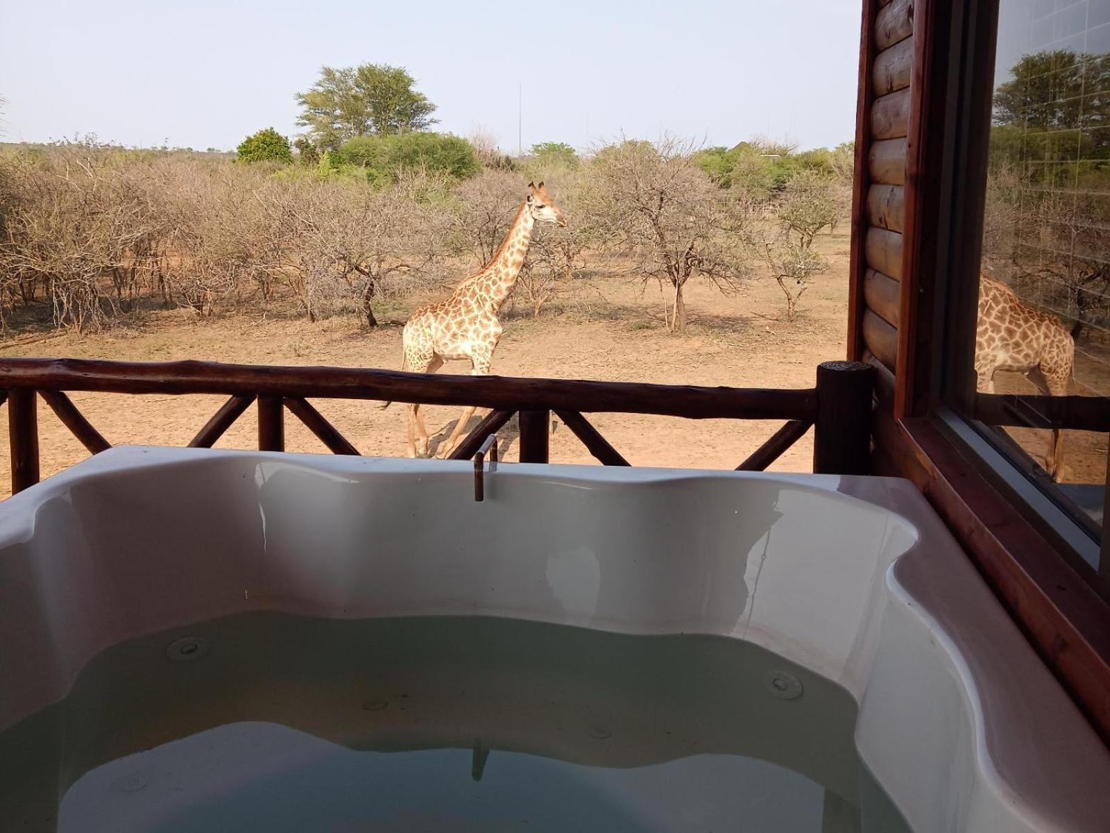 Ferienwohnung Marloth Kruger View Marloth Park Exterior foto