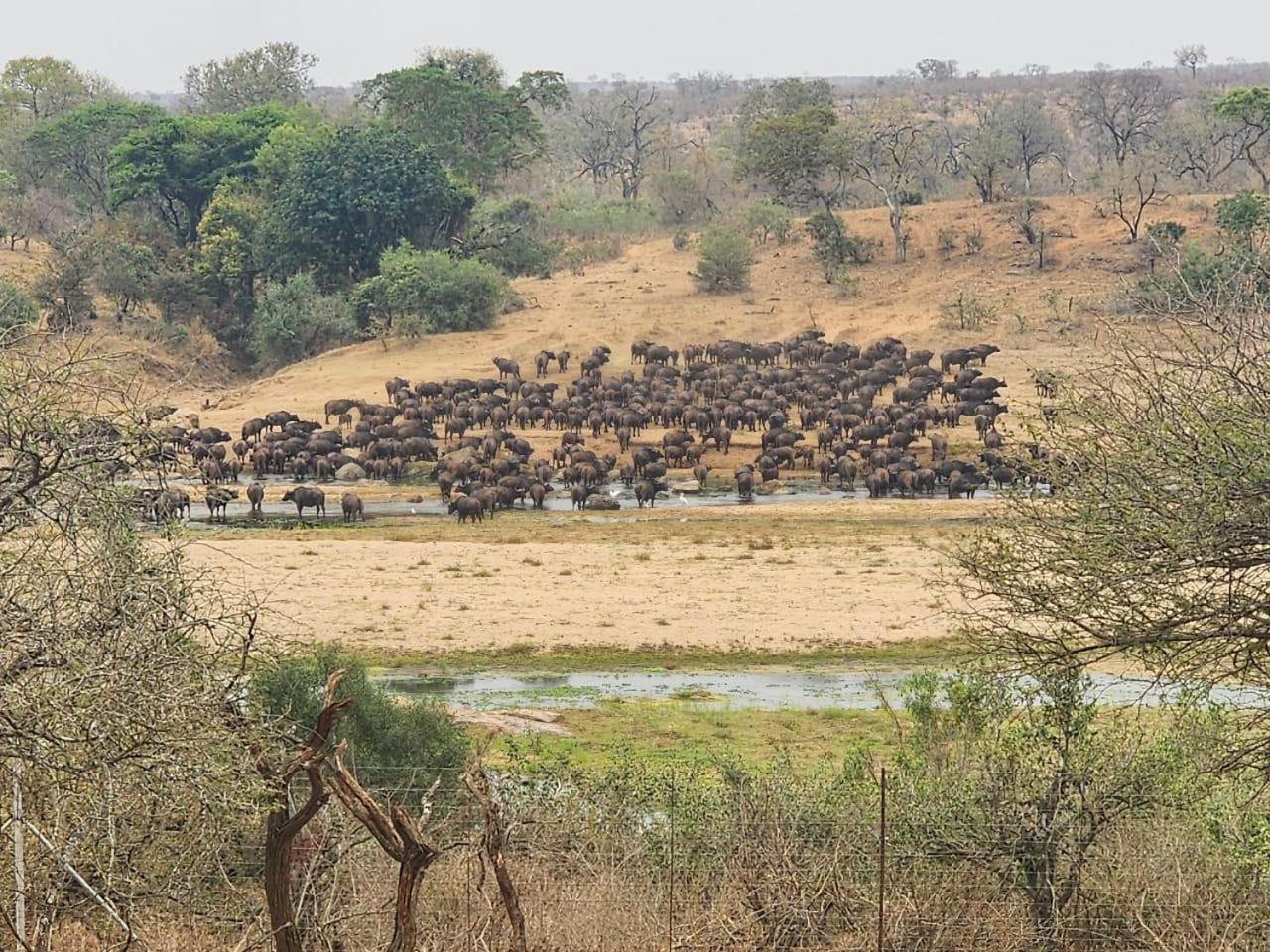 Ferienwohnung Marloth Kruger View Marloth Park Exterior foto
